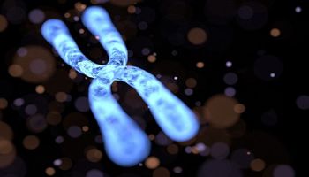 Chromosomy wcale nie wyglądają jak X. Naukowcy pokazali, jak rzeczywiście wygląda chromatyna