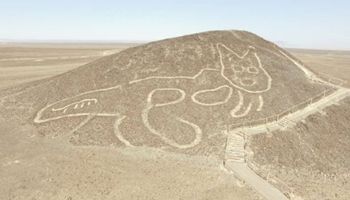 Gigantyczny kot liczący 2000 lat dołącza do kolekcji geoglifów znanych jako linie Nazca