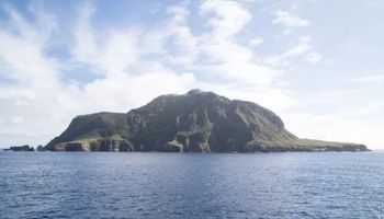 Odległa wyspa na Atlantyku zostanie przekształcona w jeden z największych rezerwatów przyrody