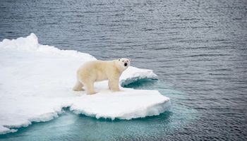 Nasza planeta traci lód w rekordowym tempie. Konsekwencje będą odczuwalne na całym świecie