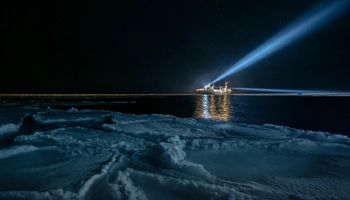 Co znalazł międzynarodowy zespół prowadzący badania w ciemności arktycznej nocy?