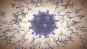Zwykły wirus przeziębienia wydaje się powstrzymywać infekowanie komórek wirusem SARS-CoV-2