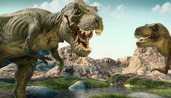 Szacuje się, że całkowita liczba tyranozaurów, które wędrowały po Ziemi, wynosi 2,5 miliarda