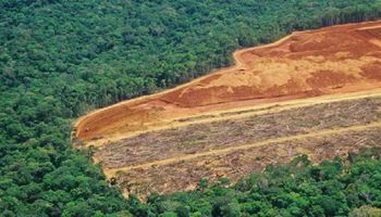 Nowe badanie ujawnia, że brazylijska Amazonia uwalnia więcej dwutlenku węgla, niż przechowuje
