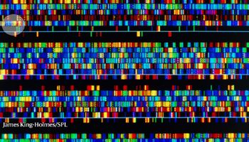 Naukowcy twierdzą, że po raz pierwszy w historii cały ludzki genom został zsekwencjonowany