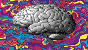 Co się dzieje w naszym mózgu, gdy człowiek weźmie psychodeliki?