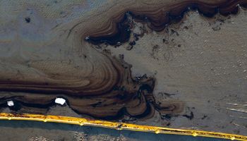 Katastrofa ekologiczna w Kalifornii. Wyciek ropy zanieczyszcza południową część wybrzeża