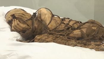 Doskonale zachowana mumia została znaleziona w Peru. Sposób pochówku wydaje się brutalny