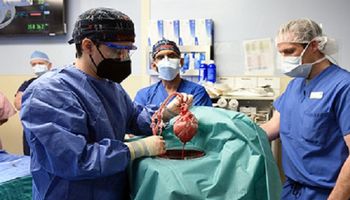 57-letniemu pacjentowi przeszczepiono genetycznie zmodyfikowane świńskie serce
