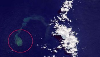 Doszło do podwodnej erupcji „rekinado”, krateru zamieszkanego przez dwa gatunki rekinów