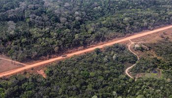 Brazylia zbuduje autostradę biegnącą przez serce dziewiczej części Amazonii