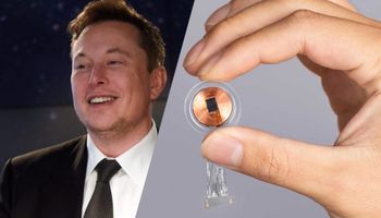 Elon Musk twierdzi, że implant mózgowy Neuralink będzie gotowy dla ludzi za sześć miesięcy