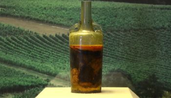Najstarsza butelka wina na świecie nadal może być bezpieczna do spożycia