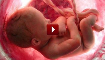 To wideo pokazuje, jak naprawdę wygląda 9 miesięcy ciąży. Coś poruszającego