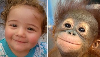 15 zdjęć, które udowadniają, że zwierzęta odczuwają wiele emocji podobnie jak małe dzieci