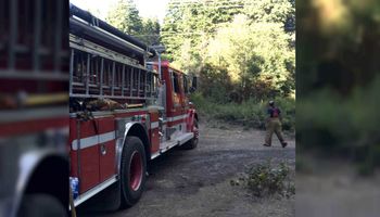 Strażacy walczyli z ogniem w środku lasu. Niespodziewanie zza drzew wyłonił się…