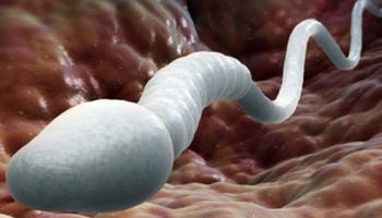 Szokujące odkrycie: naukowcy z Austrii dowiedli, że sperma jest zdrowa i spowalnia proces starzenia