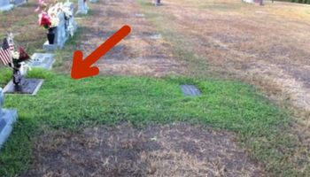 Nie wiedzieli, dlaczego trawa na grobie syna jest zielona w czasie suszy. Prawda ich wzruszyła
