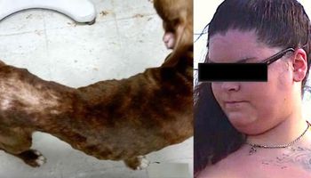 Sędzia wymierzył nietypową karę kobiecie za znęcanie się nad psem. Był przekonany, że robi dobrze