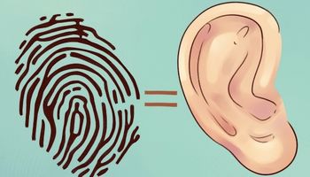 Kształt i ogólny wygląd ucha, jest w stanie zdradzić wiele na temat Twojego zdrowia i nie tylko