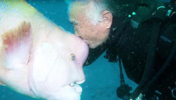 Od ponad 25 lat codziennie odwiedza przyjaciela pod wodą. Ich przyjaźń wzruszy każde serce!