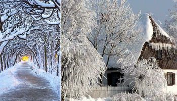 35 bajkowych zdjęć, które pokazują jak piękna potrafi być nasza polska zima. Prawdziwa magia!