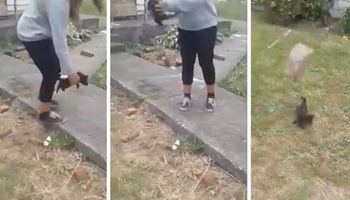 Podniosła kotka i rzuciła nim o ziemię. Po chwili celowała w niego kawałkiem betonu