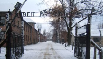 Notatki z Auschwitz zostały w końcu rozszyfrowane. Zawarta jest na nich brutalna prawda