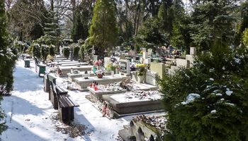 Na cmentarzu między grobami znaleziono erotyczne gadżety. Wygląda, jakby odbywała się tam orgia