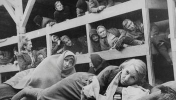 W obozach koncentracyjnych działały domy publiczne. Więźniarki zmuszano do oddawania swojego ciała