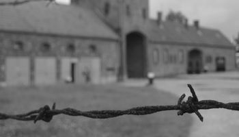 Dramatyczne wspomnienia więźniów z Auschwitz. „Codziennie myślałem, że dziś mnie zabiją”
