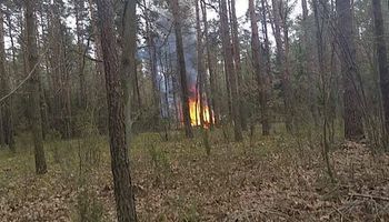 PILNE: Samolot wojskowy runął w lesie na Mazowszu. „Pilot się katapultował”