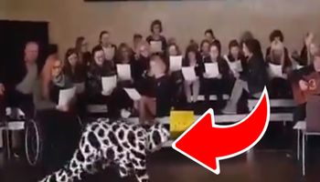 Nagranie nauczycieli robi furorę w sieci. Osoba przebrana za krowę skradła całą uwagę!