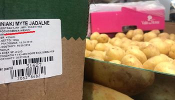 Biedronka odnosi się do polskich ziemniaków z Niemiec. Jak się tłumaczy?