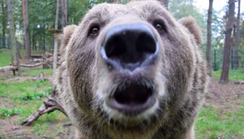 Zoo w Poznaniu podzieliło się wesołą nowiną. „Wzruszenie odbiera nam mowę”