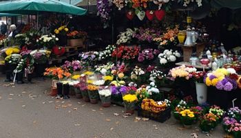 Pomoc dla sprzedawców kwiatów