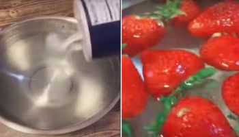 Jak usunąć robaki z truskawek