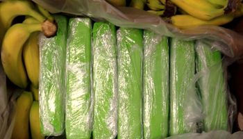 Kokaina ukryta w bananach. Narkotyki trafiły do znanej sieci sklepów