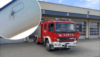 Nietypowa interwencja strażaków z Witnicy
