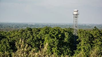 Najwyższe szczyty w Wielkopolsce pieszo i na rowerze - poznaj najlepsze trasy