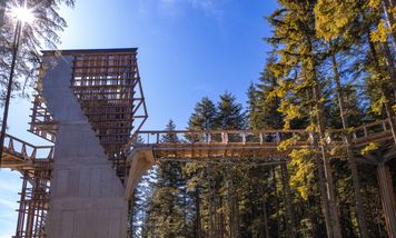 Spacer w koronach drzew - 5 najciekawszych tras na lato 2026