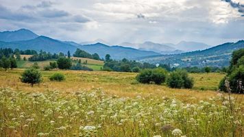 Łatwy spacer z panoramą Tatr: Bachledzki Wierch i Antałówka
