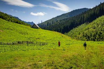 Tatry w szczycie sezonu bez tłumów? Urokliwa Dolina Lejowa [zdjęcia]