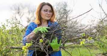 Sterta gałęzi po letnim cięciu? Zamiast je wyrzucać, możesz wykorzystać je w ogrodzie