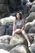 marcysia_18 marcysia_18