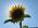 slonce246 slonce246