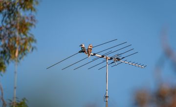 Nowa stacja w telewizji naziemnej? KRRiT ogłosi konkurs