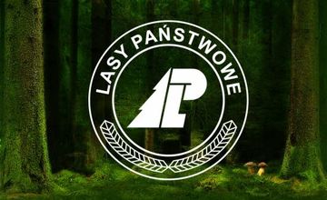 Lasy Państwowe tworzą Centrum Komunikacji Społecznej