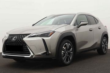 Lexus UX 300h Business 2.0 Hybrid Dynamic Force