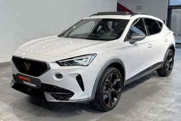Cupra Formentor 2.0 TSI 4Drive DSG